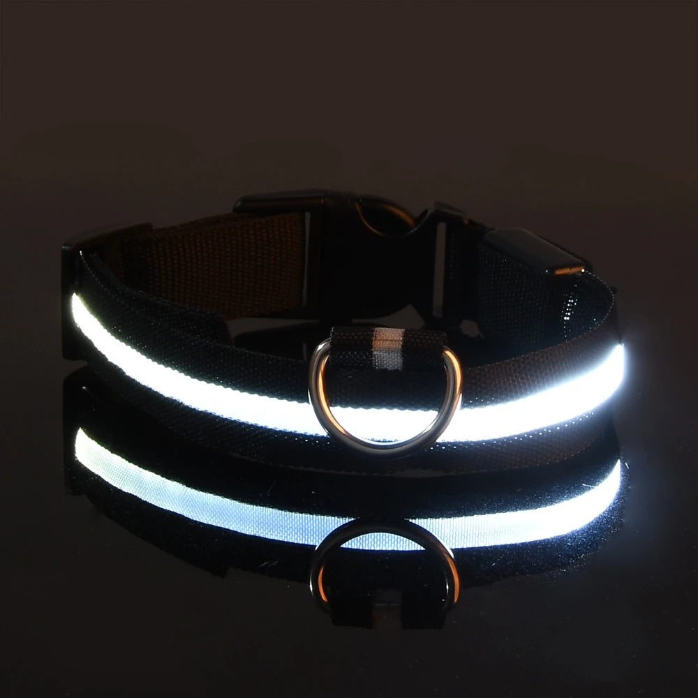 Collier LED Nylon Lumineux Pour Chiens