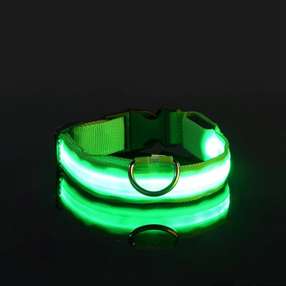 Collier LED Nylon Lumineux Pour Chiens