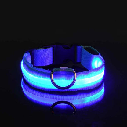 Collier LED Nylon Lumineux Pour Chiens