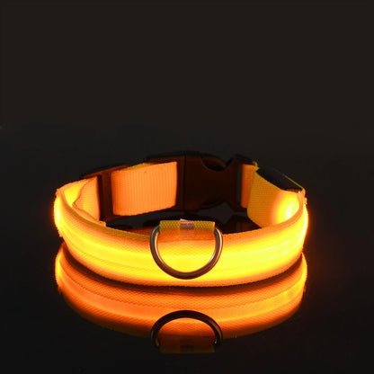 Collier LED Nylon Lumineux Pour Chiens