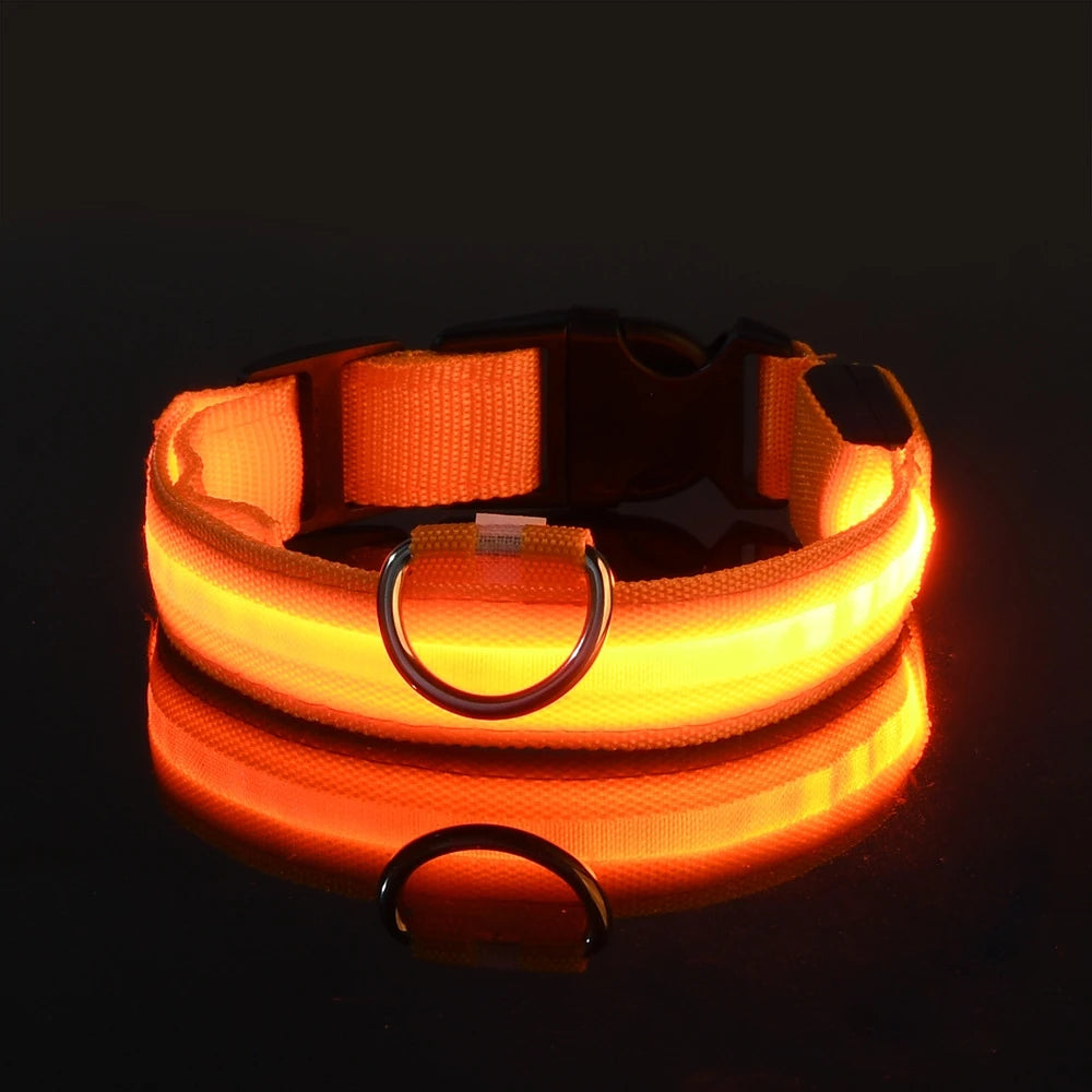 Collier LED Nylon Lumineux Pour Chiens