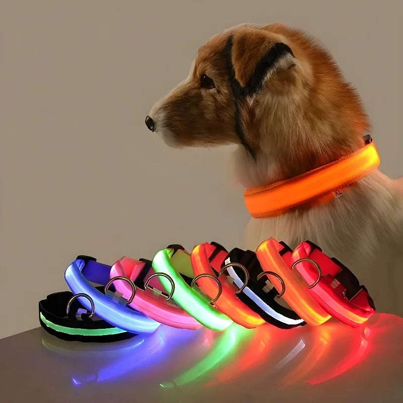 Collier LED Nylon Lumineux Pour Chiens