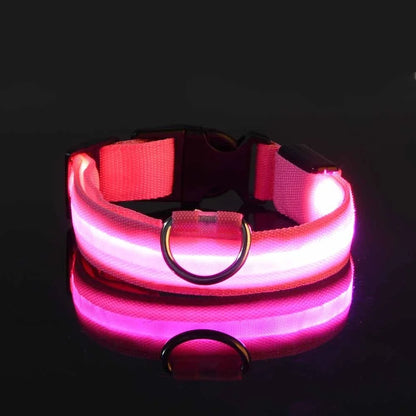 Collier LED Nylon Lumineux Pour Chiens