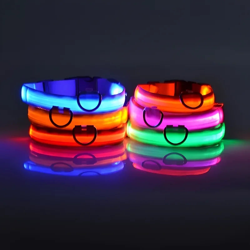 Collier LED Nylon Lumineux Pour Chiens