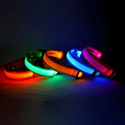 Collier LED Nylon Lumineux Pour Chiens