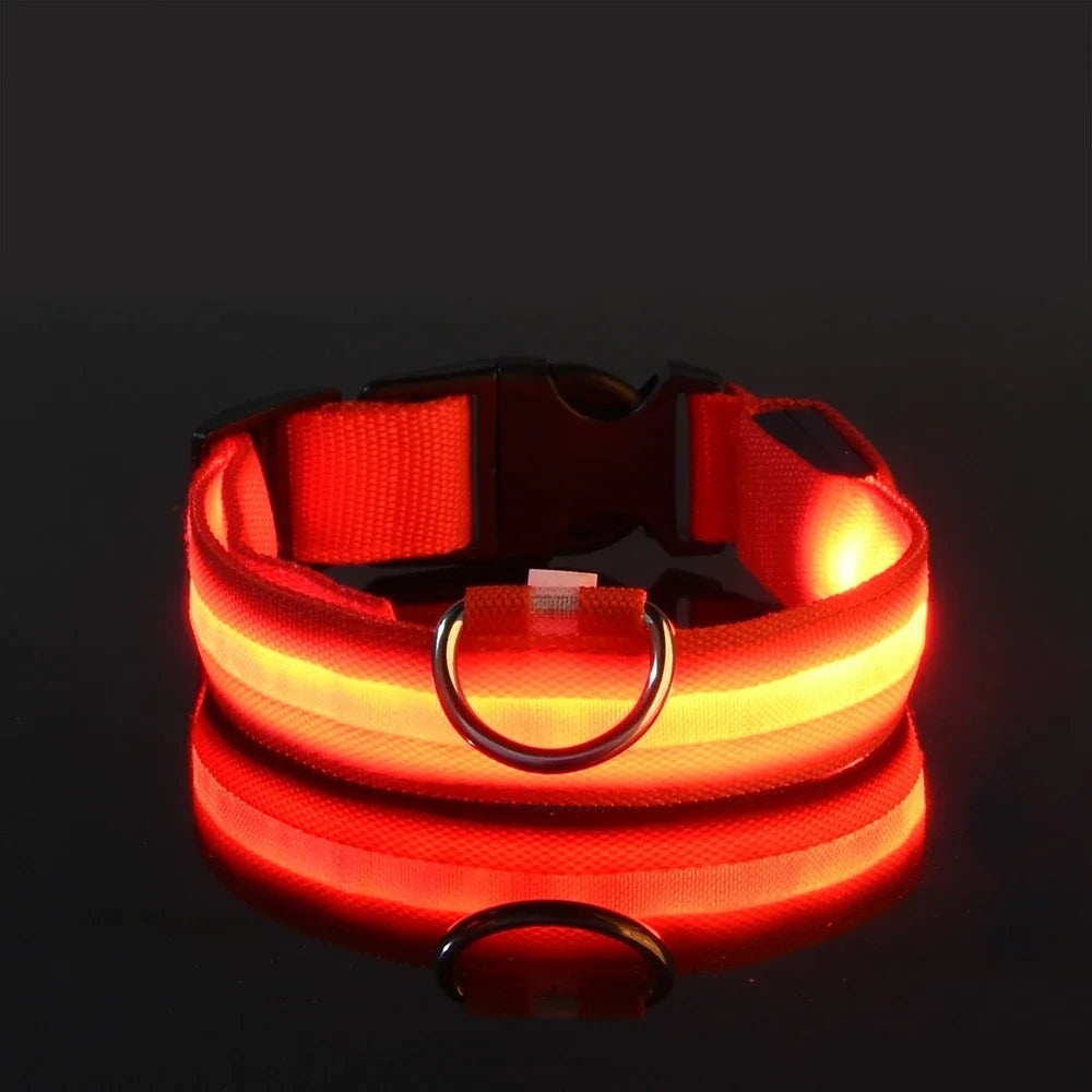 Collier LED Nylon Lumineux Pour Chiens